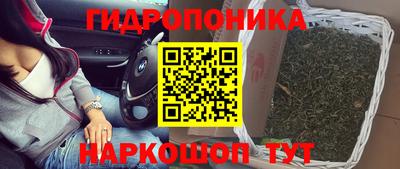 ALPHA PVP Обнинск
