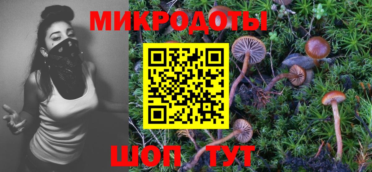 Псилоцибиновые грибы Psilocybe Сухой Лог