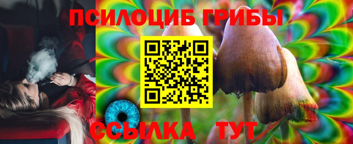 Сухой Лог  Галлюциногенные грибы Cubensis  Галлюциногенные грибы прущие грибы  Вход с VPN 
